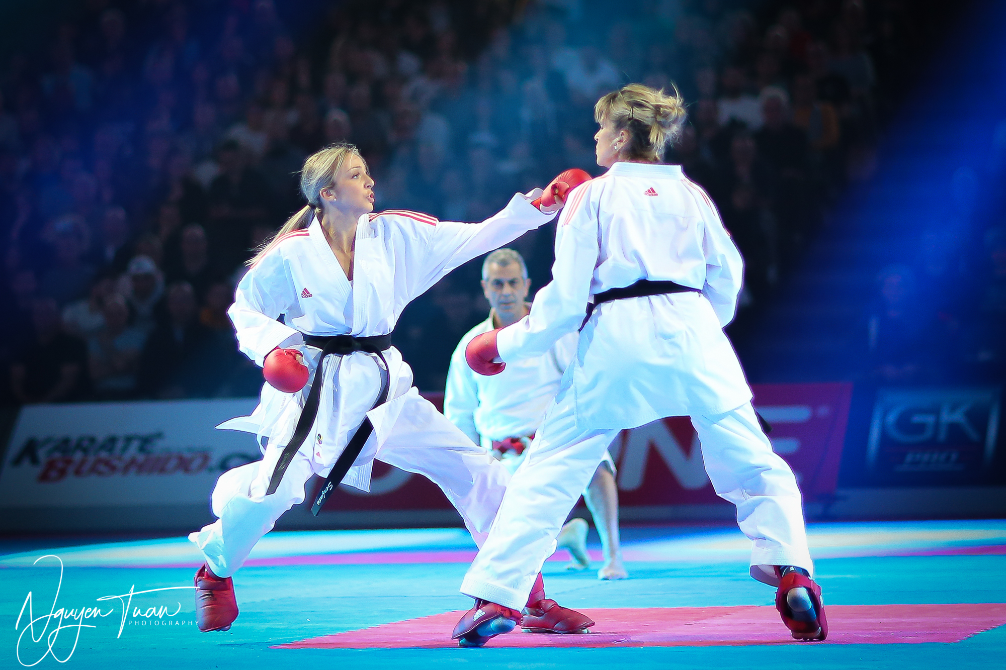 20190324 Festival des Arts Martiaux 3766